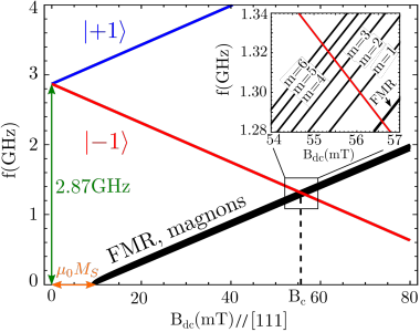 Frequencies of NV center levels |±1 (blue and red solid lines), FMR and magnons (black solid lines) as a function of external dc magnetic field B dc parallel to the [111] diamond crystallographic direction and NV center axis. Inset shows a zoom-in of the crossing region between |−1> level with both magnonic m = 1, 2, 3, 4, 5, 6 and FMR frequencies.