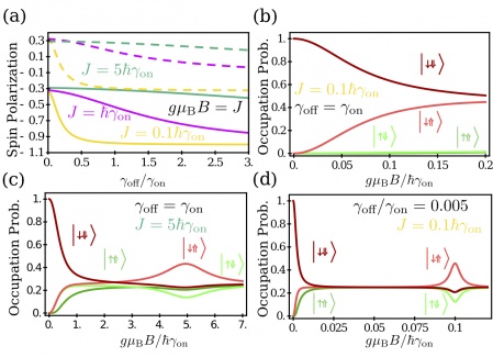 (a) Spin polarization as a function of hopping ra- tio plotted for different values of the exchange coupling. The dashed lines represent the spectator spin and solid lines represent the transport spin. (b-d) Occupation probability for the different states in the product basis as a function of the transverse magnetic field. Shown are (b) γoff = γon, γoff ≫ J, (c)γoff =γon,γoff ≪J,and(d)γon ≫J≫γoff. Good visibility is realized when γoff ≪ J, and especially for (d).